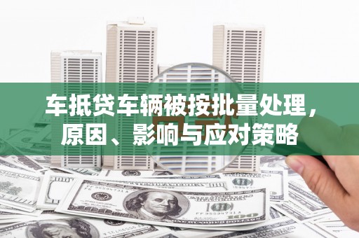丰满车抵贷车辆被按批量处理，原因、影响与应对策略