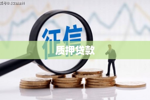 龙凤质押贷款