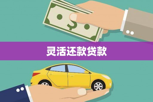 柳北灵活还款贷款